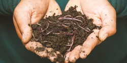 Banner image for Composting and Worm Farming online workshop 