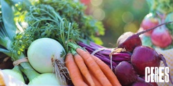 Banner image for Organic Vegetable Gardening 