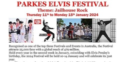 Banner image for Elvis Parkes Festival Tour