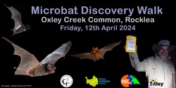 Banner image for Microbat Discovery Walk, Oxley Creek Common