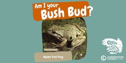 Banner image for Bush Buds: Alpine Tree Frog 