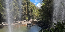 Banner image for Springbrook National Park Guided Walks : Thu 9 Feb 2023