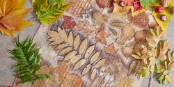 Banner image for Natural Fabric Dyeing workshop (ages 12-25)