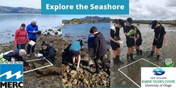 Banner image for Explore the Seashore