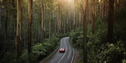 Banner image for Luxury Driving Experience - Yarra Valley, Victoria (2023)