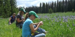 Banner image for Summer 2023 June Master Naturalist Course