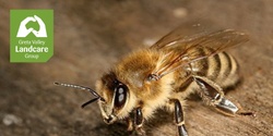 Banner image for Introduction to Bee Keeping & Annual General Meeting