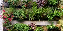 Banner image for Introduction to Green Roofs and Green Walls (8 sessions)