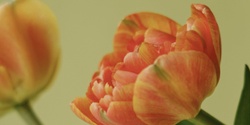 Banner image for Make a Floral Bouquet with Inbloom 