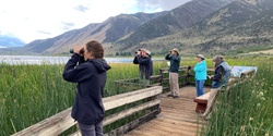 Banner image for Lundy Canyon Bird Tour