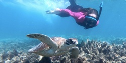 Banner image for Marine Conservationist for a day (Fitzroy Island)