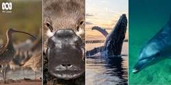 Banner image for ABC Webinar: Can documentaries help save the planet?