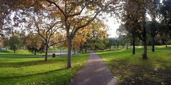 Banner image for Guided Walk through Rundle Park / Kadlitpina (Park 13)