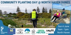 Community Planting Day - North Haven