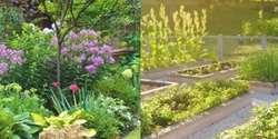 Banner image for Term 3 Sustainable Gardening - Garden Design 5 Week Course