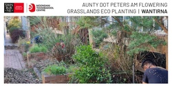 Banner image for Aunty Dot Peters AM Flowering Grasslands Eco Session - Wantirna