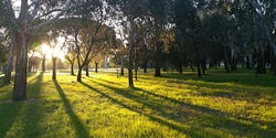 Banner image for Guided Walk through Carriageway Park / Tuthangga (Park 17)