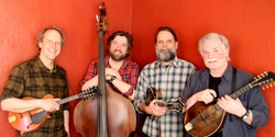 Banner image for Vermont Mandolin Trio, with Pat Melvin on bass.