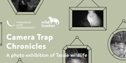 Banner image for Camera Trap Chronicles: A Photo Exhibition of Tassie Wildlife