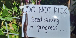 Banner image for  Ecoburbia At Home SEED SAVING AND PLANT PROPAGATION