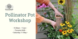 Banner image for Pollinator Pot Workshop