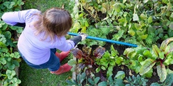 Banner image for Sustainable Gardening