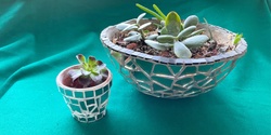 Banner image for Beginner Mosaics: Disco Plant Pots with Heather