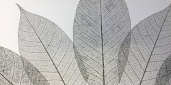 Banner image for Nature Printing workshops with Rhyll Plant