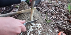 Banner image for Bush Craft Online - Whittling