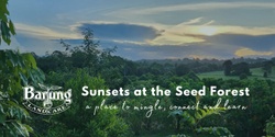 Banner image for Sunsets at the Seed Forest - July 2024