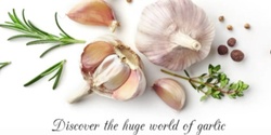 Banner image for Garlic Tasting Workshop