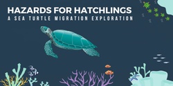 Banner image for Hazards for Hatchlings: A Sea Turtle Migration Exploration