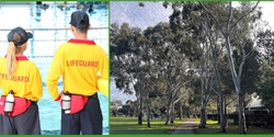 Banner image for Be a Lungs Lifeguard!