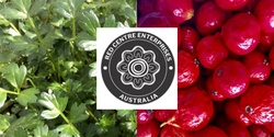 Banner image for Australian Native Food Plants