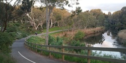 Banner image for Guided Walk thru Park 11, including Mistletoe  Park & the Botanic Garden