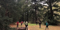 Banner image for Nature Therapy Walk with Forest Bathing Belair November 13th