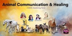 Banner image for Animal Communication, A Free Online MeWe Awakening Panel