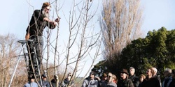 Banner image for Winter Pipfruit Pruning Workshop