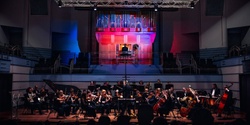 Newcastle Youth Orchestra's banner