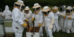 Banner image for URBAN BEEKEEPING COURSE FOR BEGINNERS
