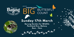 Banner image for Autumn Barung Big Butterfly Count 2024