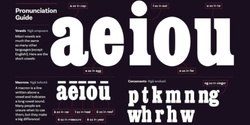 Banner image for Te Reo in Everyday Business Lives