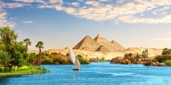 Banner image for Meatfree Mondays Visits Egypt
