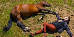 Banner image for Horses A Connected Partnership - LIBERTY TRAINING – BYO horse or play with one of our herd 
