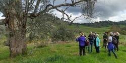 Banner image for A Slow mid-Spring Nature Walk @ Castle Creek Reserve with Sue Brunskill & Karen Retra