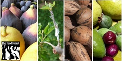 Banner image for Fruit and Nut Growing Workshop