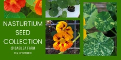 Banner image for Nasturtium seed collection @ Basilea Farm