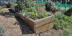 Banner image for DIY Drought-Tolerant Garden Bed (Wicking Bed) Workshop
