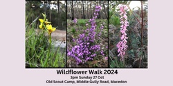 Banner image for Wildflower Walk