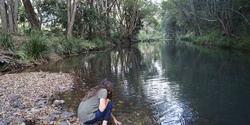 Banner image for Guided Nature Therapy & Poetry Walk - Chillingham (easy-any fitness level)